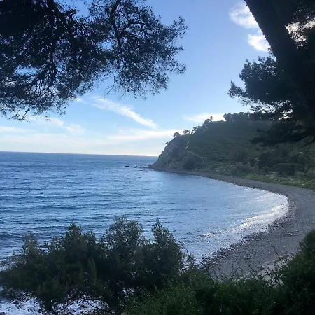 Lejlighed 2-bedroom With Terrace And Garage La Seyne-sur-Mer